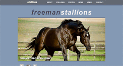 Desktop Screenshot of freemanstallions.co.za